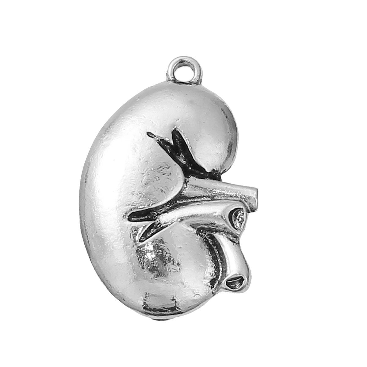 Anatomical Human Kidney Charm | Gift for Urologist | Gift for Doctor | Gift for Nurse