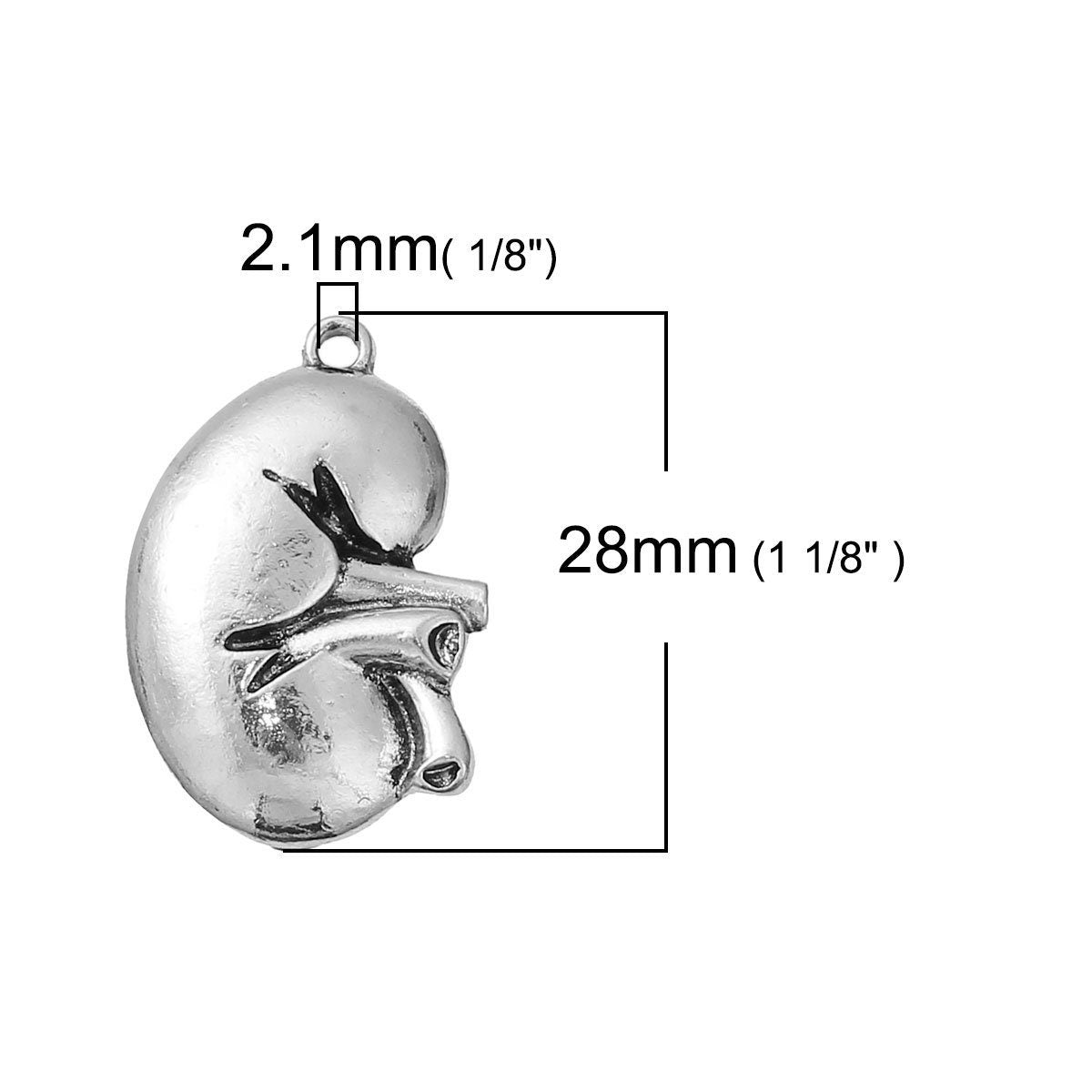 Anatomical Human Kidney Charm | Gift for Urologist | Gift for Doctor | Gift for Nurse